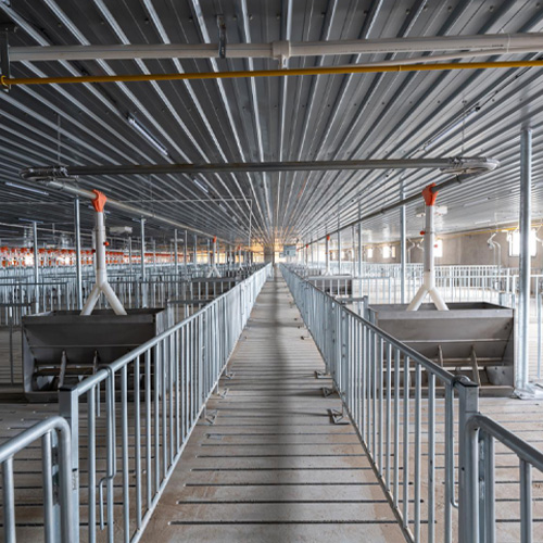 自动化养猪设备