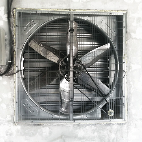 自动化养猪设备