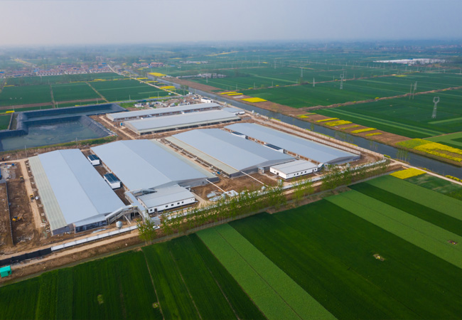 湖南永兴县57600头生猪养殖基地