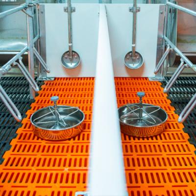 猪场自动上料系统