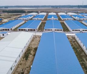 大规模猪场建设