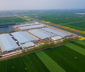 湖南永兴县57600头生猪养殖基地