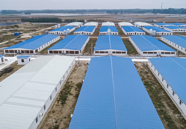 大规模猪场建设