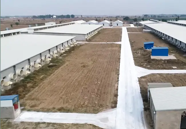 大规模猪场建设