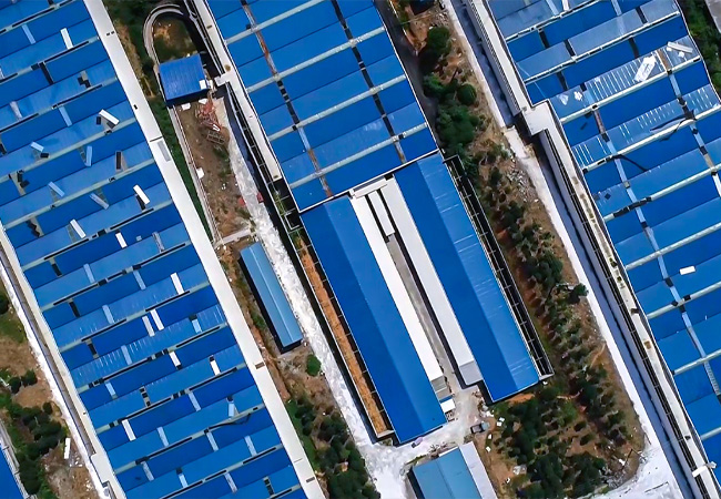 大规模猪场建设