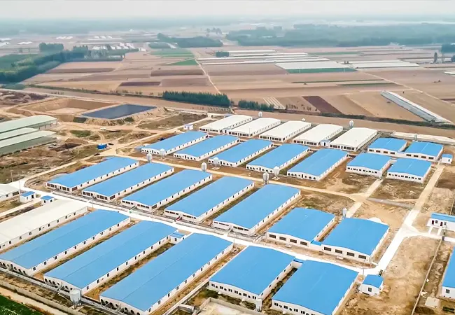 大规模猪场建设