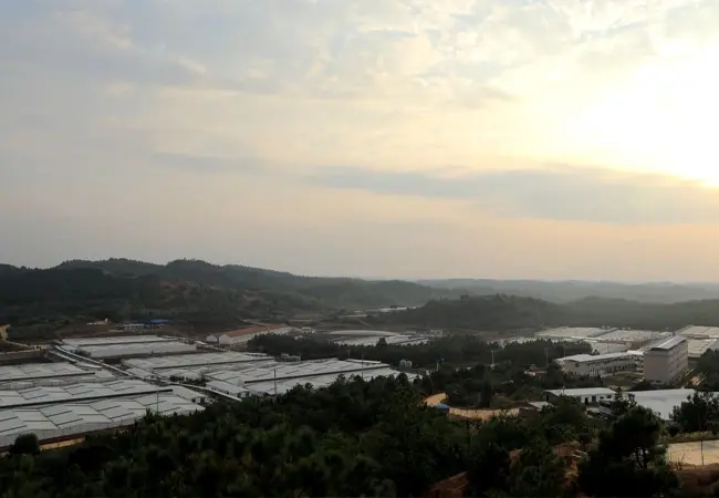 大规模猪场建设