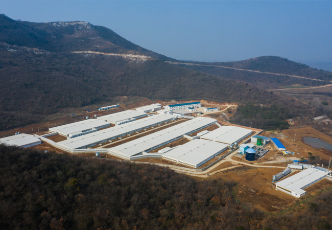 大规模猪场建设