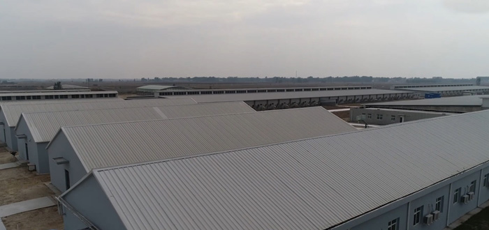 内蒙古兄弟养猪场