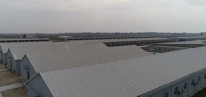 内蒙古兄弟养猪场