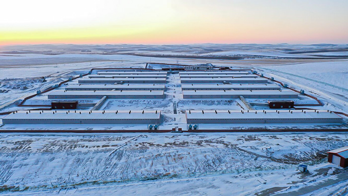 内蒙古兄弟养猪场