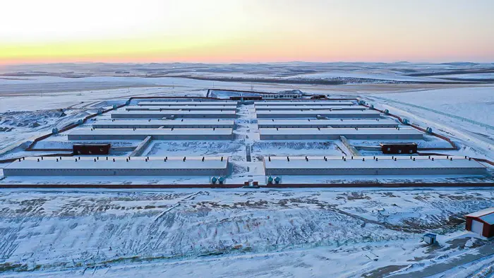 内蒙古兄弟养猪场