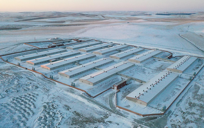 内蒙古兄弟养猪场