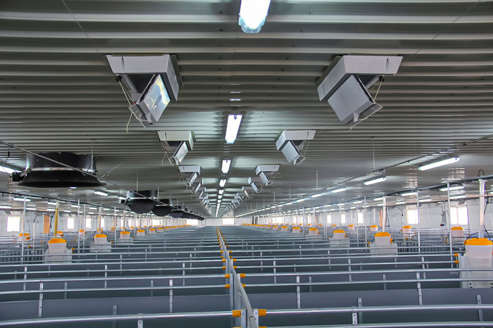 内蒙古兄弟养猪场