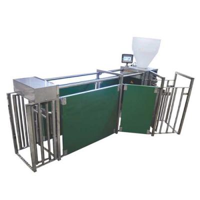 母猪分娩床 母猪分娩床